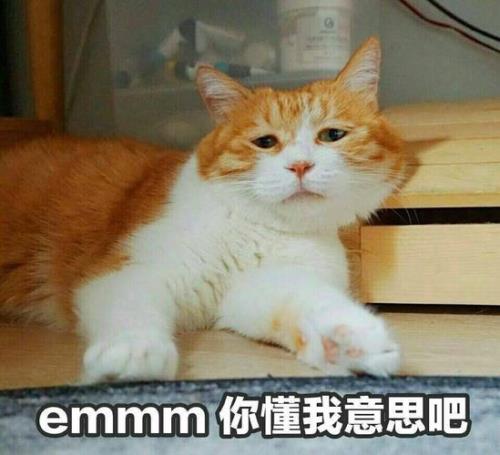 emm什么意思