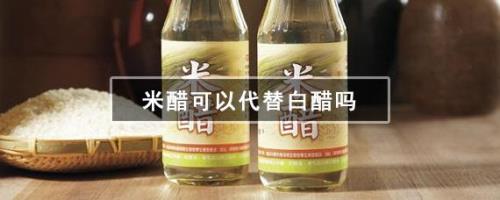 米醋可以洗衣服吗