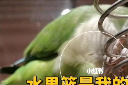 各玩各的什么意思