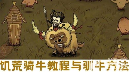 饥荒驯服牛要多久