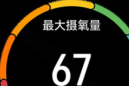 最大摄氧量怎么计算