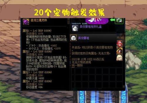 地下城宠物右槽算身上的么