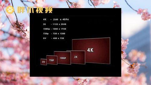 2k竖屏分辨率是多少