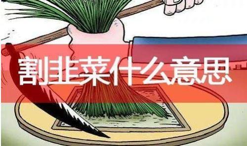 洗菜什么意思网络用词