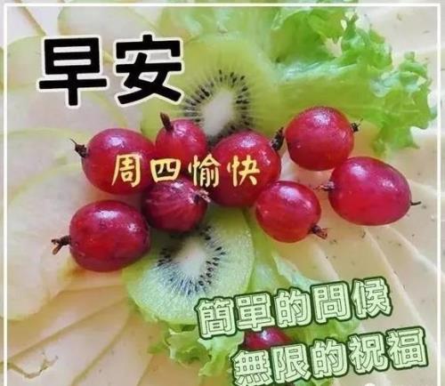 星期四早上7点到现在有几个小时