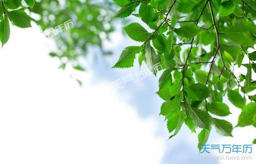 8月几号入伏