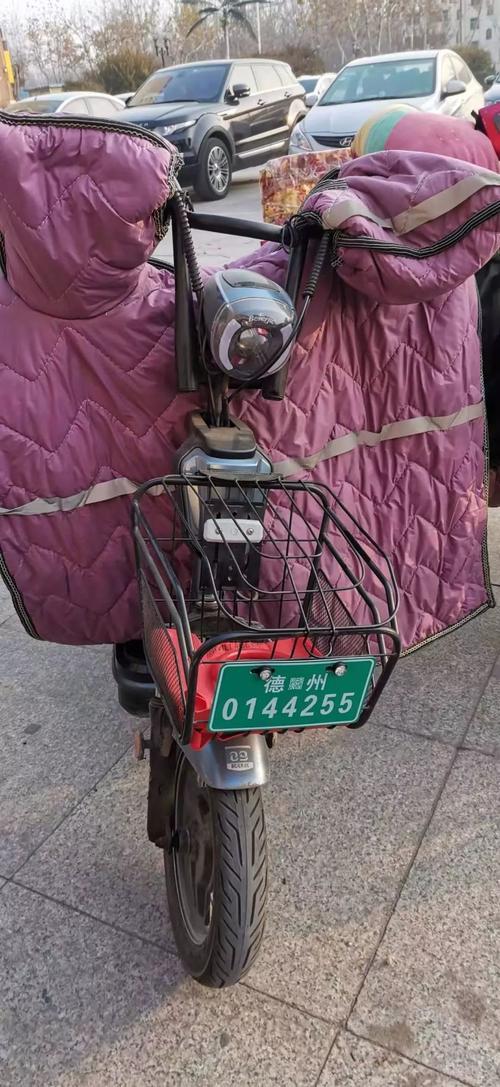 电瓶车怎么通过牌照查询车主