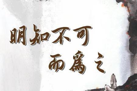 愚兮的意思