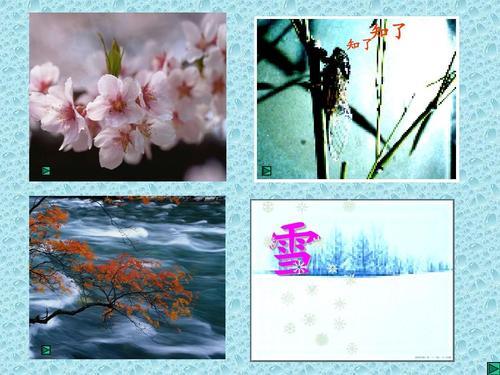 四季歌在四季里懂得了什么道理