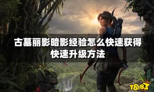 怎么快速获得暗影币