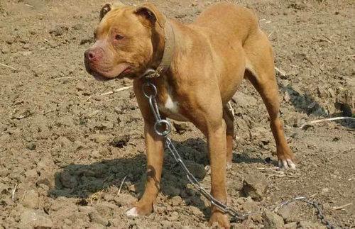 比特开口和试口区别