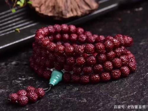金刚菩提能一年四季盘吗