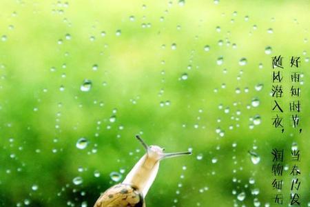 雨水节气钓鱼最佳时辰