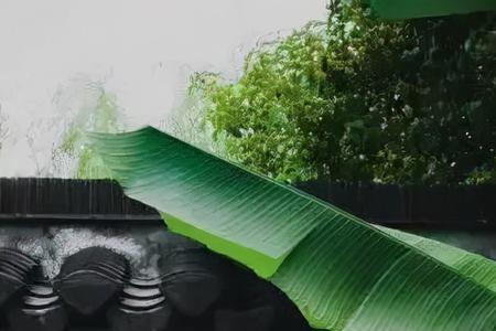 闻风听雨网名好吗