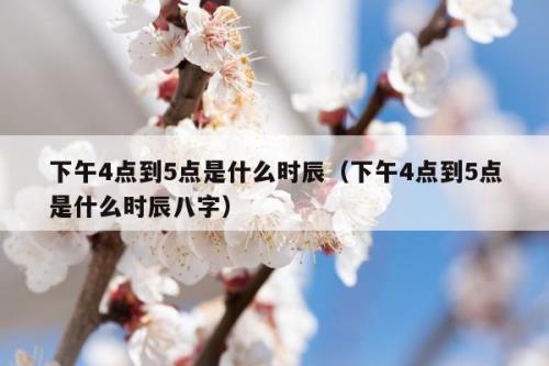 下午16:25分是什么时辰