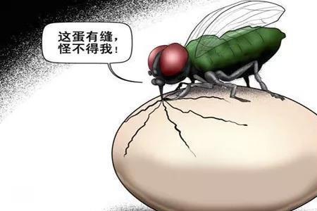 口水为什么会招惹苍蝇