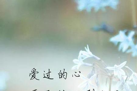 一个知己一份缘是什么意思