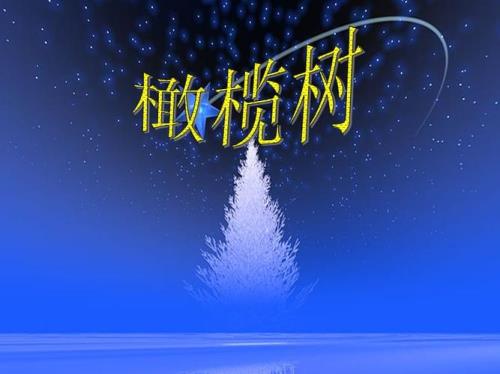 橄榄树音乐完整版原唱