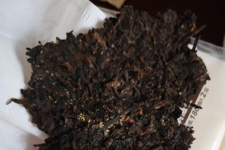 普洱茶怎么保存起金花