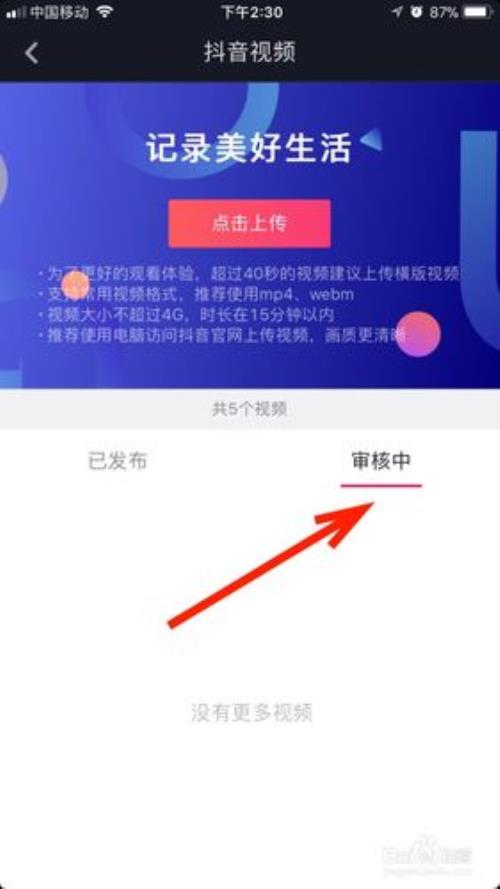 抖加一直在审核中啥意思