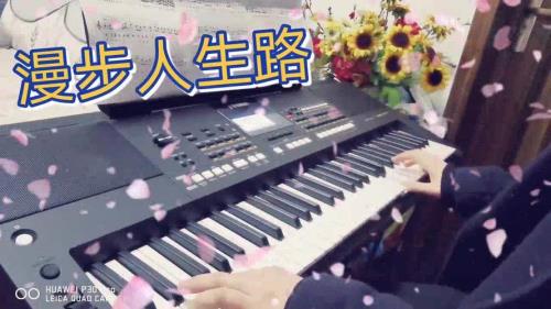 漫步人生路诗句