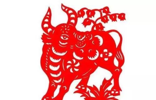 当家作主打一准确生肖