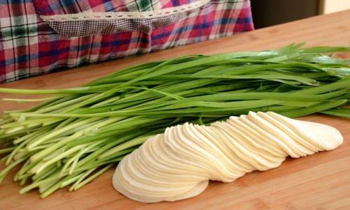 主角叫陈凯周小文是什么小说