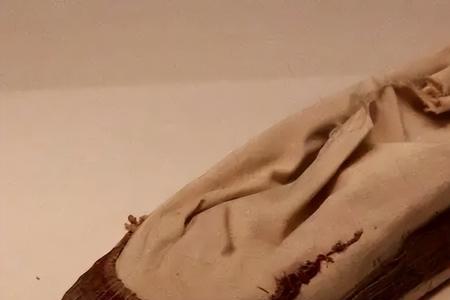 古人所说的履和鞋有什么区别