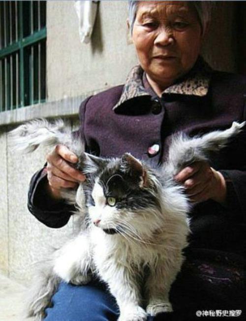 通人性的成语