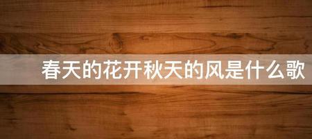 春天的风叫什么风