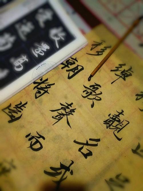 闻到有先后，术业有专攻什么意思