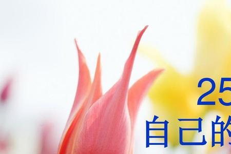 自己导是什么意思
