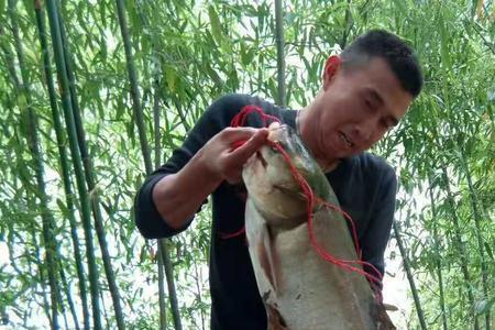 夏季白鲢起浮怎么钓