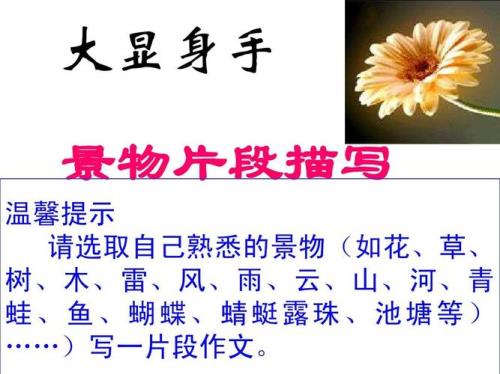 观察熟悉的景物100个字4个自然段