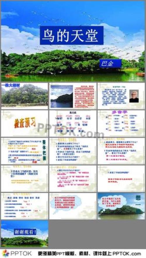 鸟的天堂的主要内容