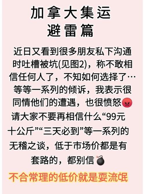 作品避雷什么意思