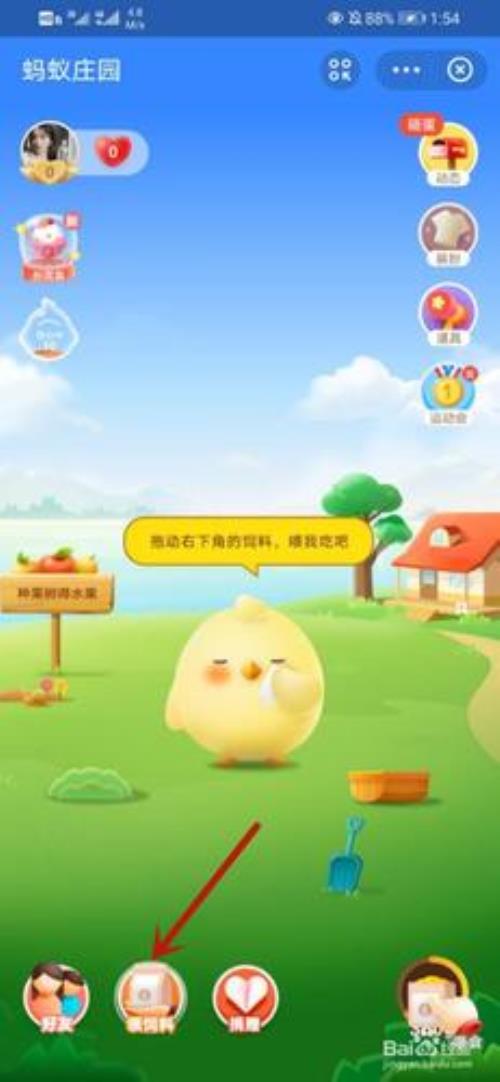 怎么看蚂蚁庄园饲料容量