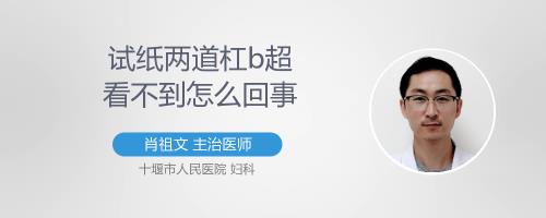 cpv有两条杠是什么意思
