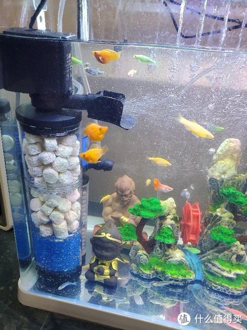 养小鱼需要一直开增氧泵吗