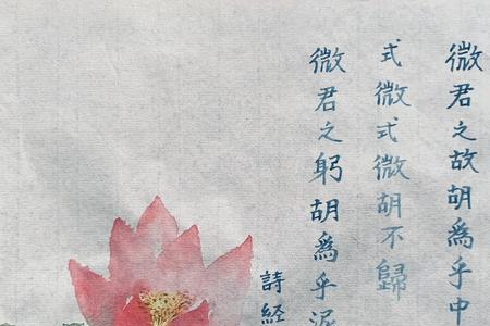 胡为乎的露乎意思