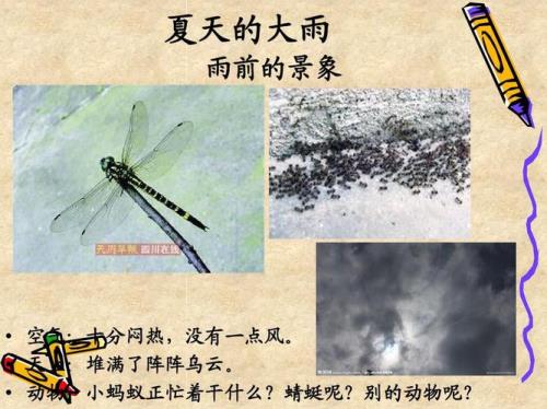 用雨水造句