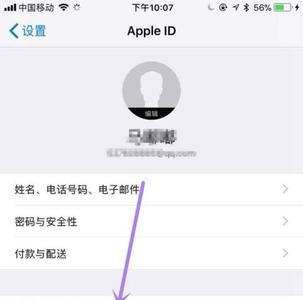 苹果手机支付vip怎么支付不了