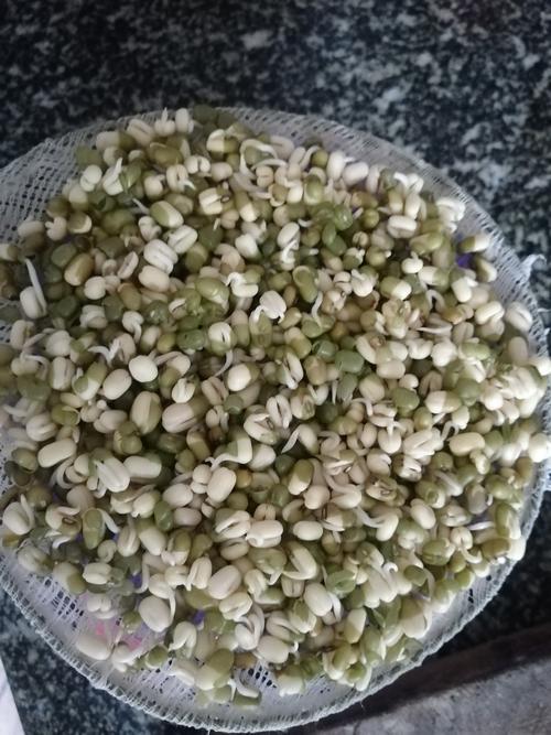 绿豆掉皮是坏了吗