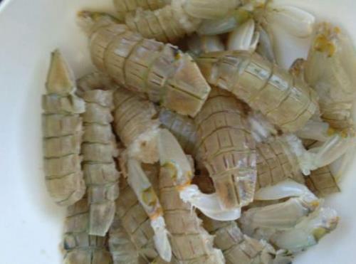 皮皮虾都是天然的，不是人工养殖