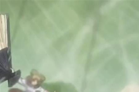 不风的风遁叫什么