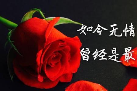 人越傻越幸运的俗语