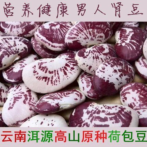 怎样种植荷包豆果实才饱满
