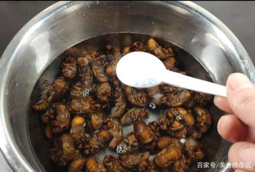 永康金蝉烧法