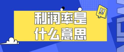 1加利润率和1减利润率有什么不同