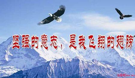毅志的近义词